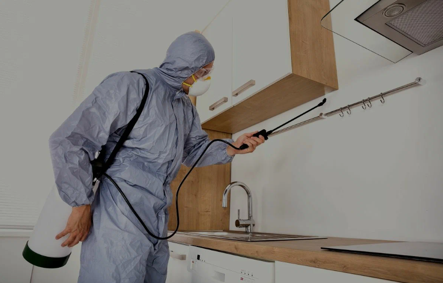 Monterey Park pest managment